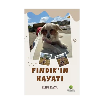 Fındık'ın Hayatı