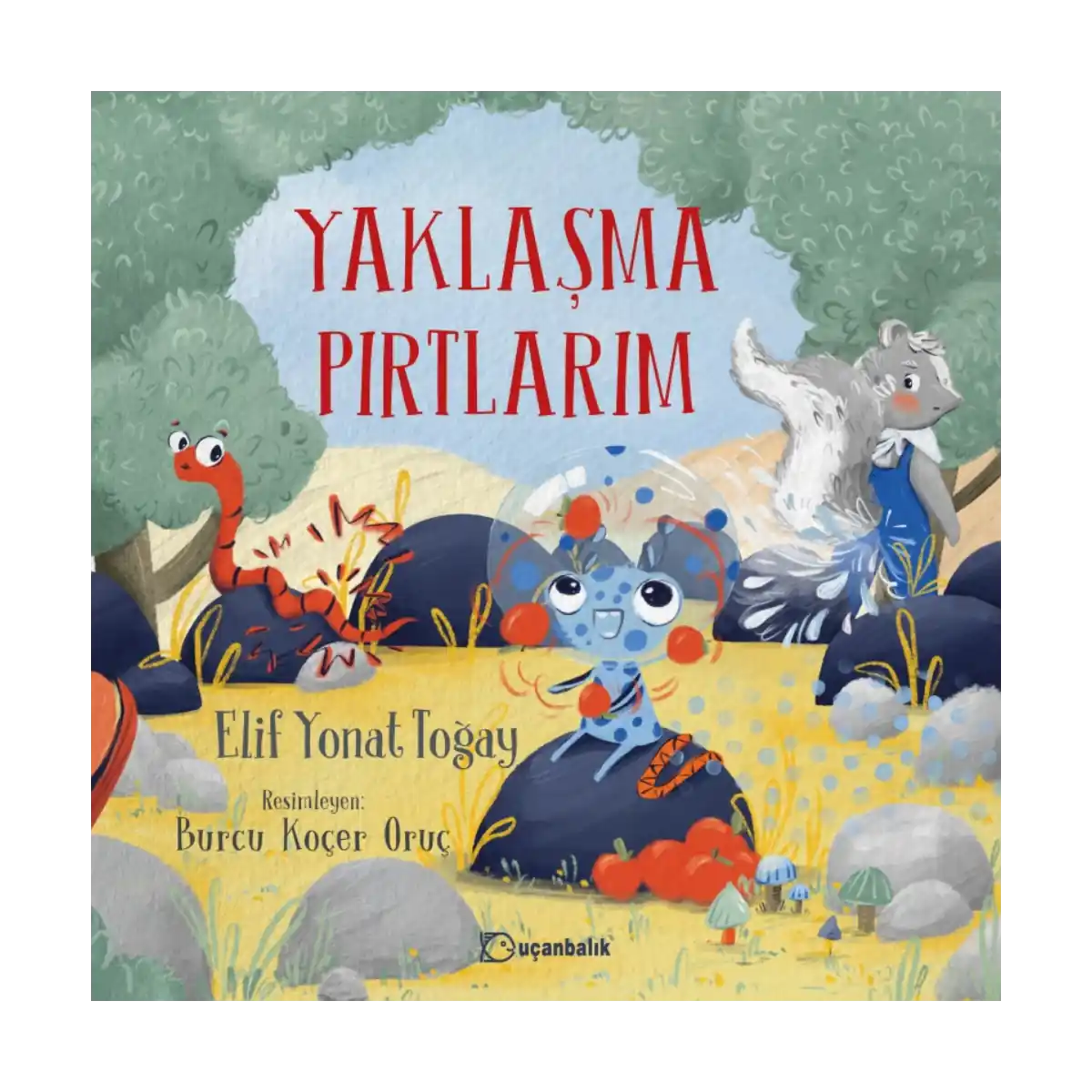 65abc-yaklasma-pirtlarim-1-1.webp Yaklaşma Pırtlarım - Görsel 1