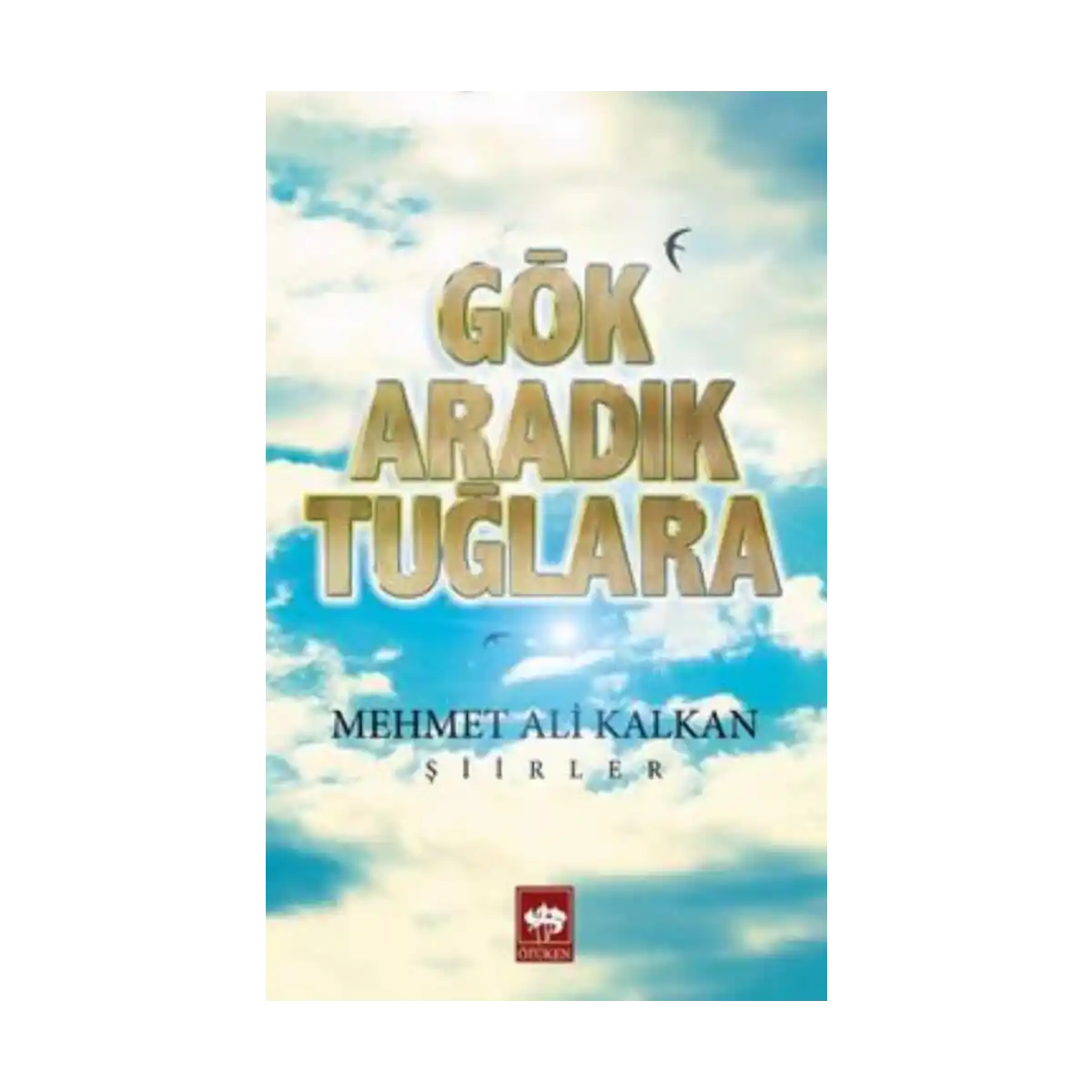 683bc-gok-aradik-tuglara-1-1.webp Gök Aradık Tuğlara - Görsel 1