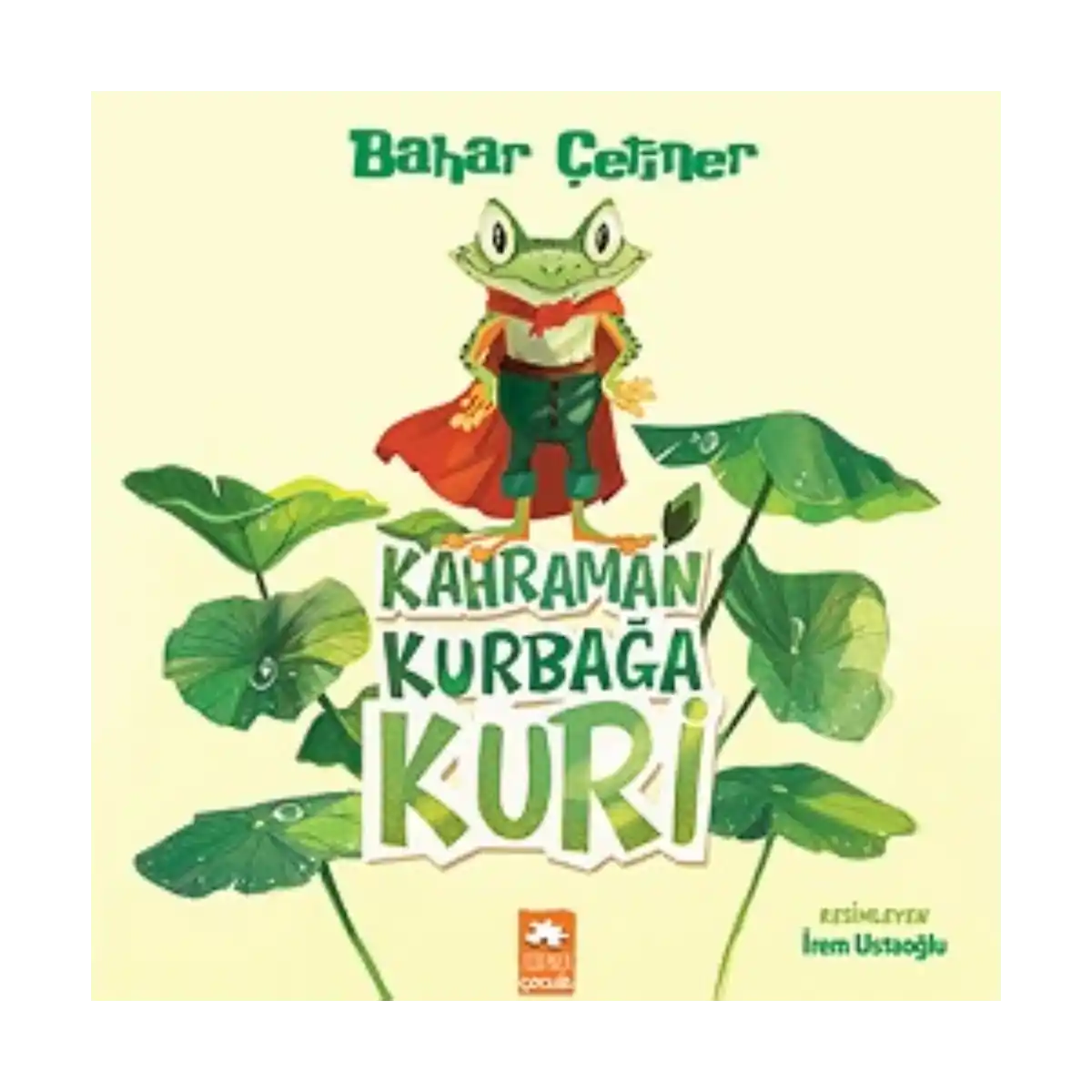 697a2-kahraman-kurbaga-kuri-1-1.webp Kahraman Kurbağa Kuri - Görsel 1