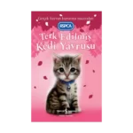 Terk Edilmiş Kedi Yavrusu