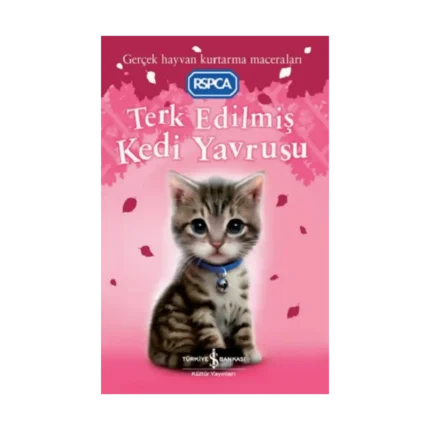 Terk Edilmiş Kedi Yavrusu