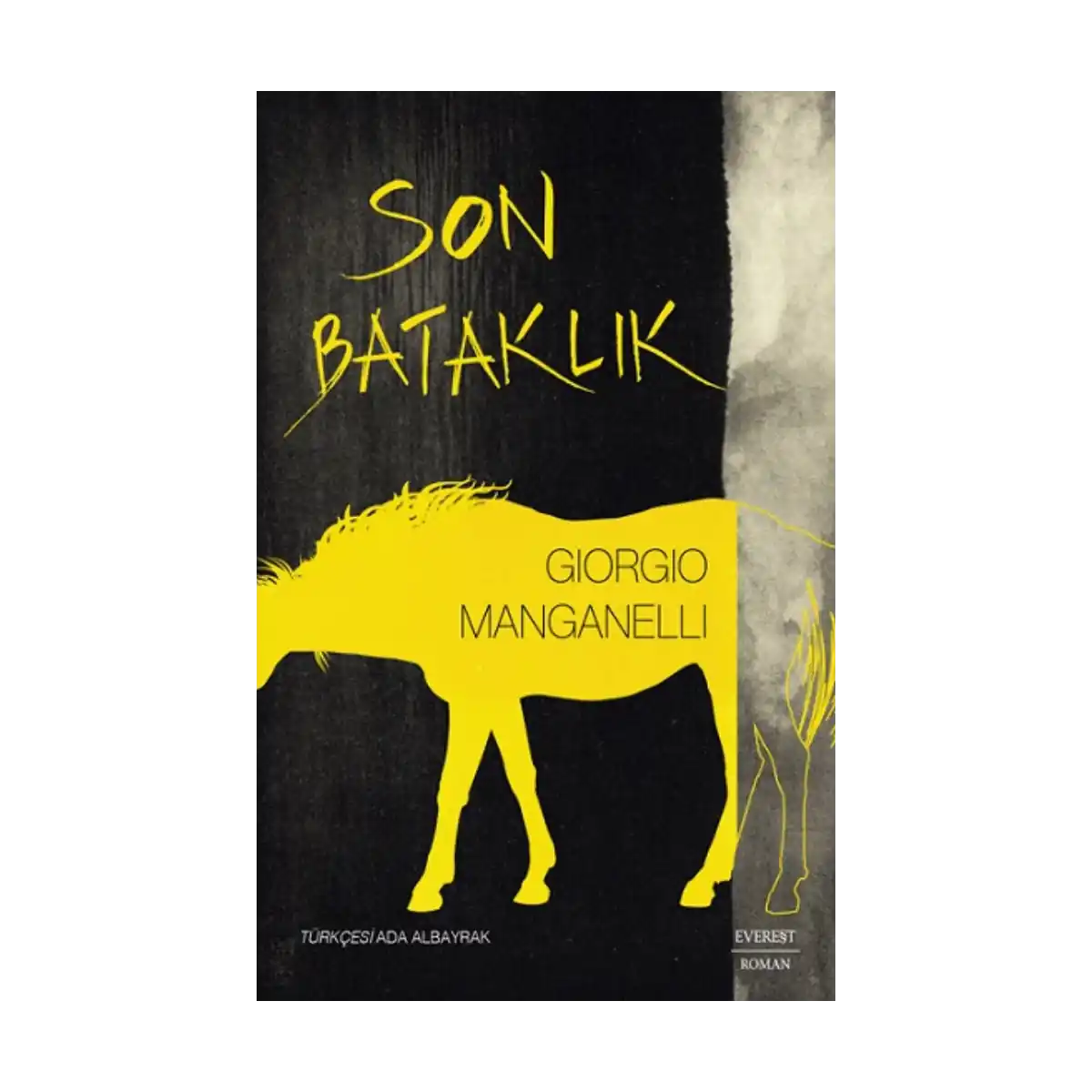 75fac-son-bataklik-1-1.webp Son Bataklık - Görsel 1