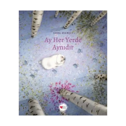 Ay Her Yerde Aynıdır