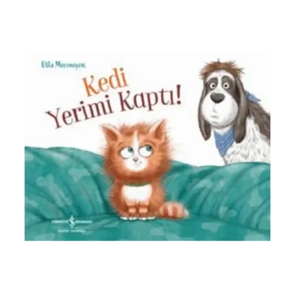 Kedi Yerimi Kaptı!