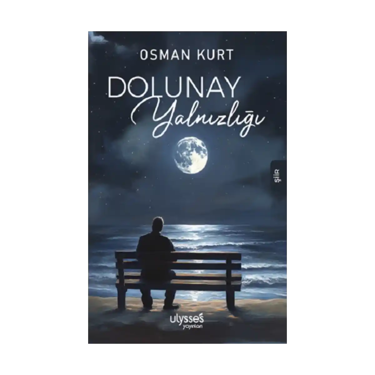 7c69a-dolunay-yalnizligi-1-1.webp Dolunay Yalnızlığı - Görsel 1