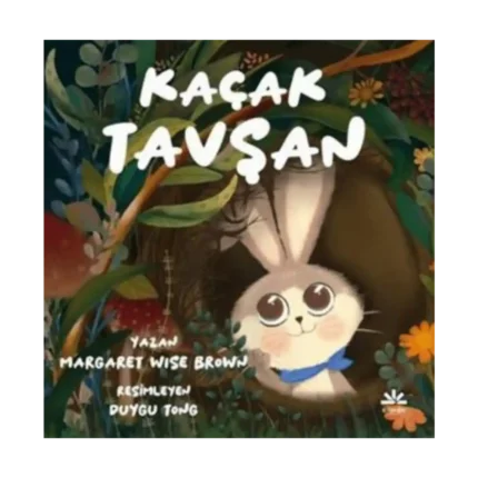 Kaçak Tavşan