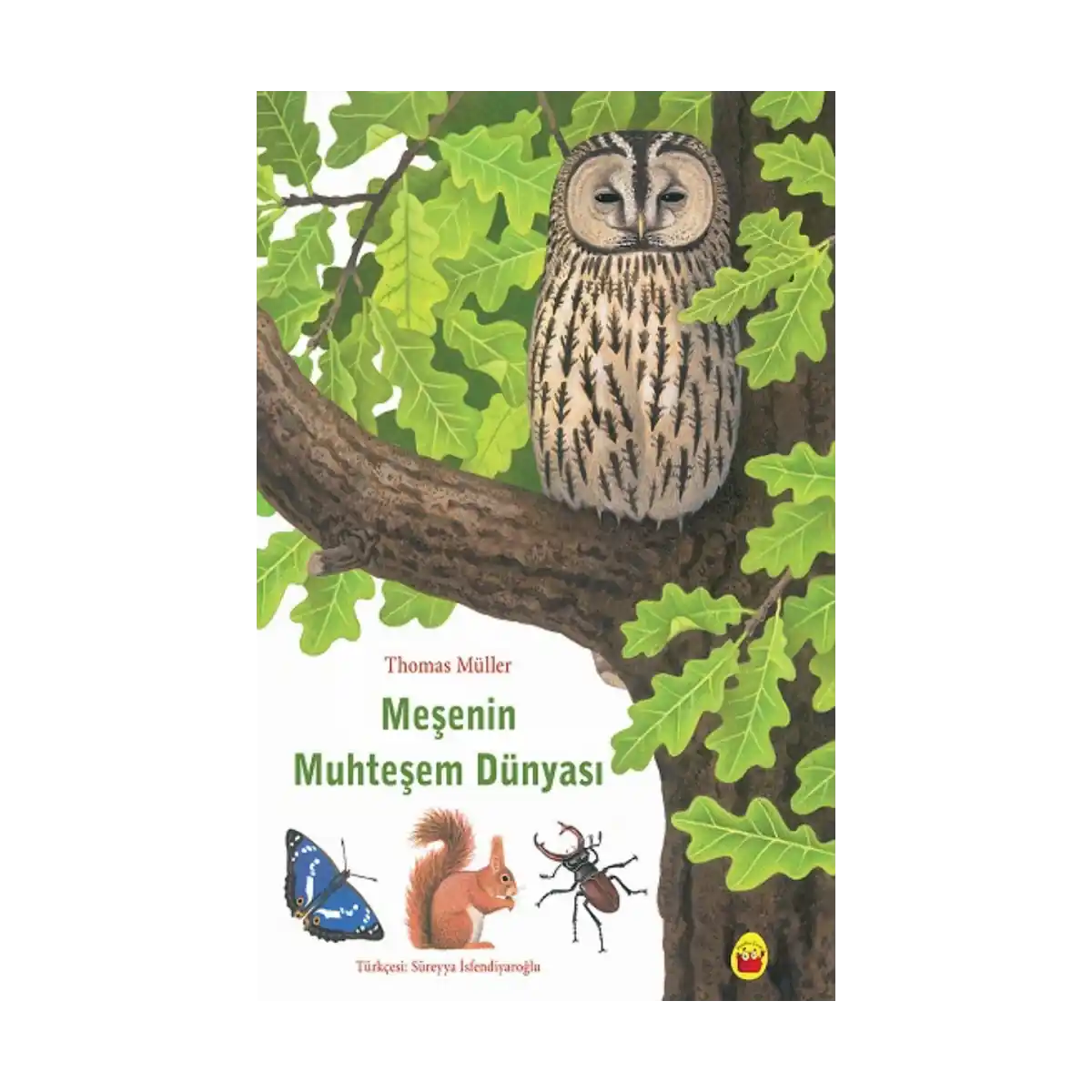 7f575-mesenin-muhtesem-dunyasi-1-1.webp Meşenin Muhteşem Dünyası - Görsel 1