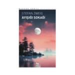 Ayışığı Sokağı