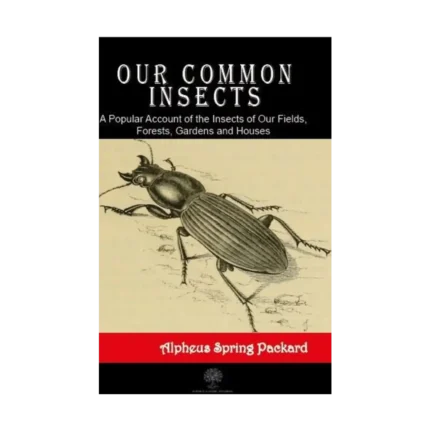 Our Common Insects