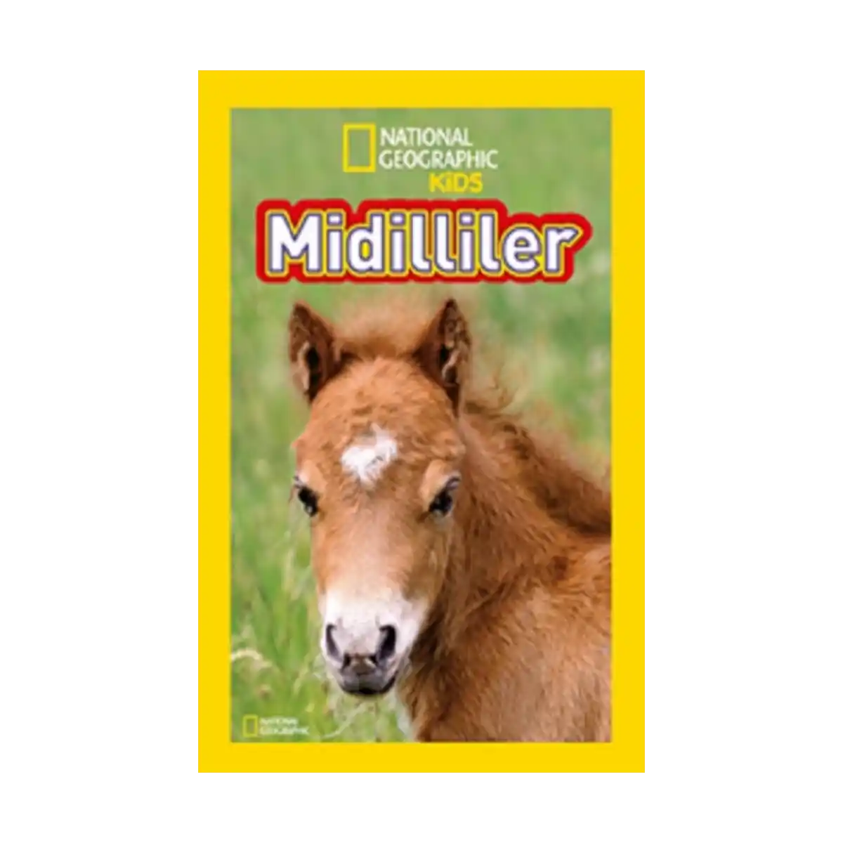 862b2-national-geographic-kids-midilliler-1-1.webp National Geographic Kids Midilliler - Görsel 1