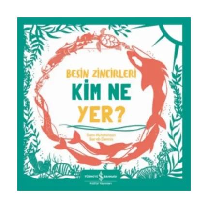 Besin Zincirleri Kim Ne Yer?