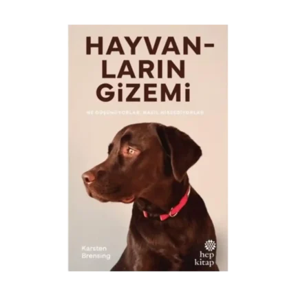 Hayvanların Gizemi