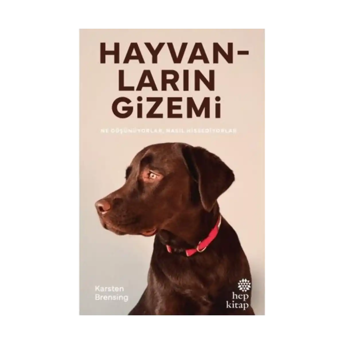 89a51-hayvanlarin-gizemi-1-1.webp Hayvanların Gizemi - Görsel 1