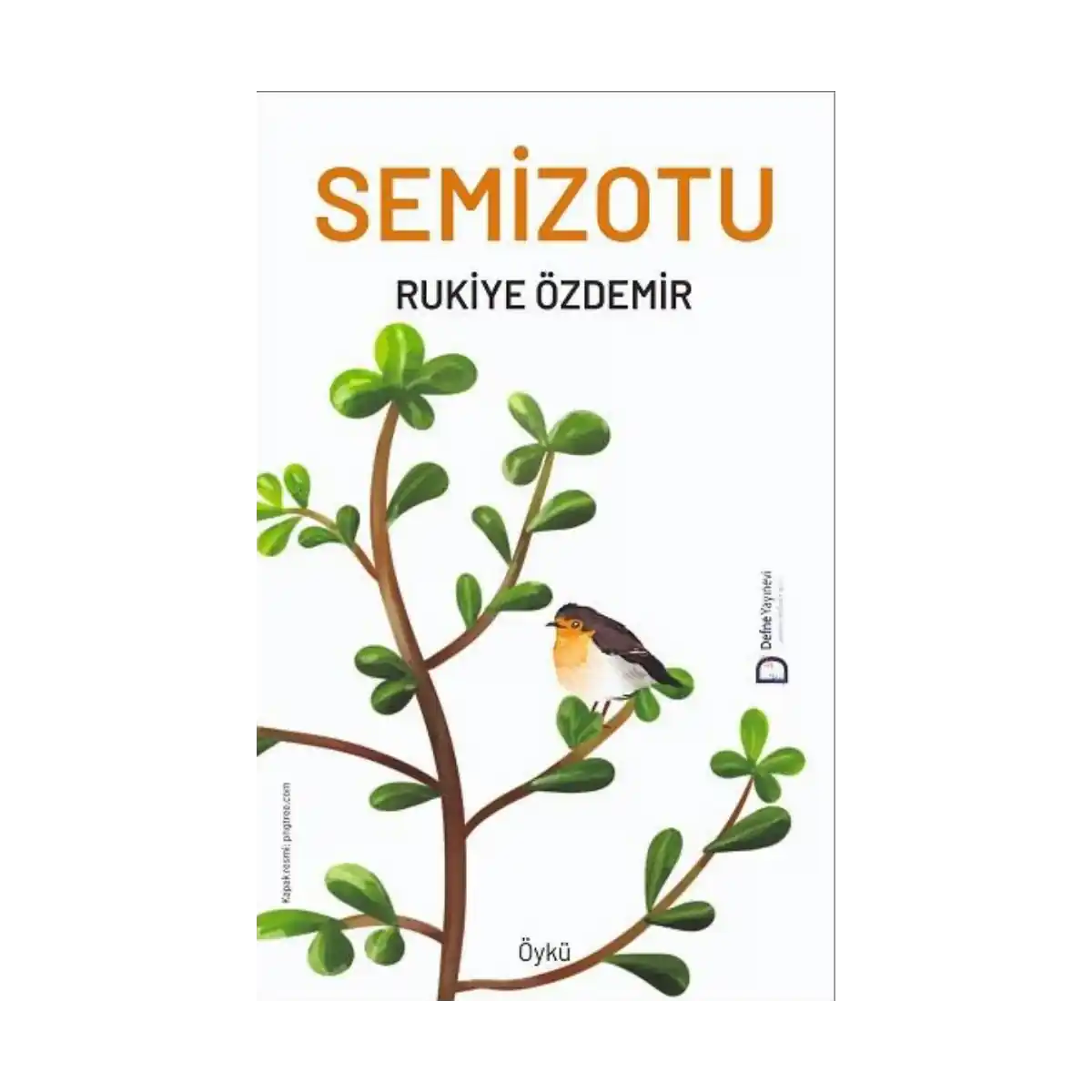 8a335-semizotu-1-1.webp Semizotu - Görsel 1