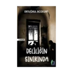 Deliliğin Sınırında