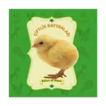 Dokun ve Hisset: Çiftlik Hayvanları