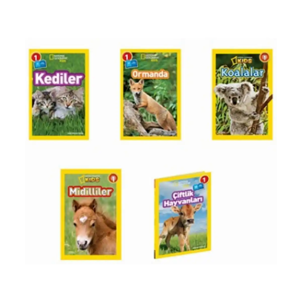 8f85b-national-geographic-kids-okuma-kitaplari-seviye-1-tatli-hayvanlar-seti-5-kitap-1-1.webp National Geographic Kids Okuma Kitapları Seviye 1 Tatlı Hayvanlar Seti 5 Kitap - Görsel 1