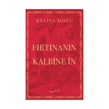 Fırtınanın Kalbine İn