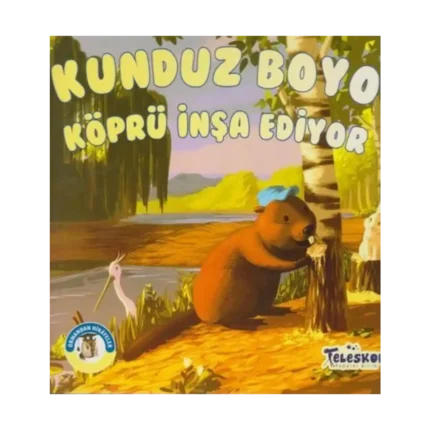 Kunduz Boyo Köprü İnşa Ediyor - Ormandan Hikayeler