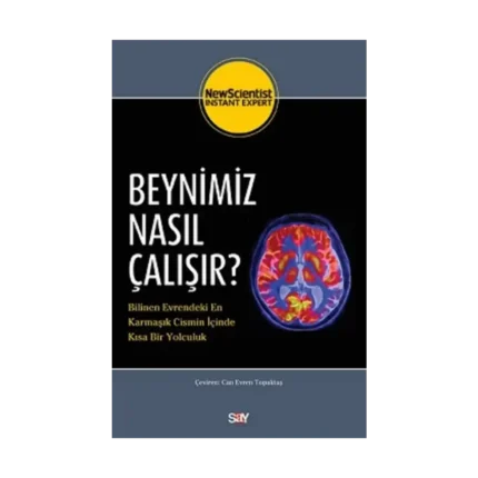 Beynimiz Nasıl Çalışır?