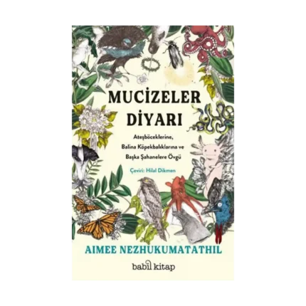 Mucizeler Diyarı: Ateşböceklerine, Balina Köpekbalıklarına ve Başka Şahanelere Övgü