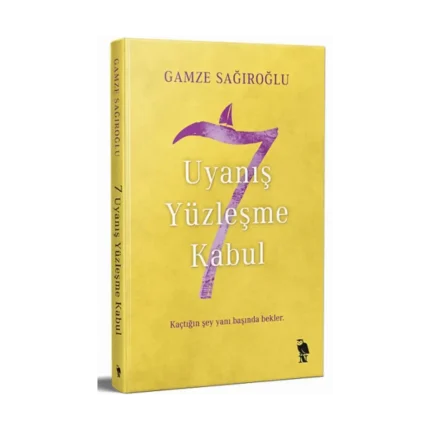 7 Uyanış Yüzleşme Kabul