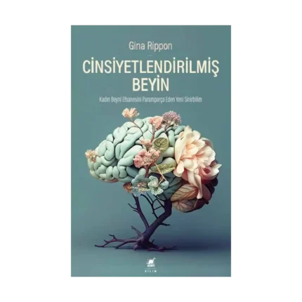 Cinsiyetlendirilmiş Beyin