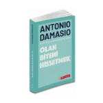 Olan Biteni Hissetmek