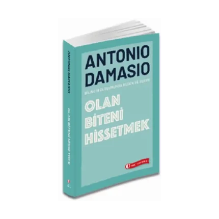 Olan Biteni Hissetmek