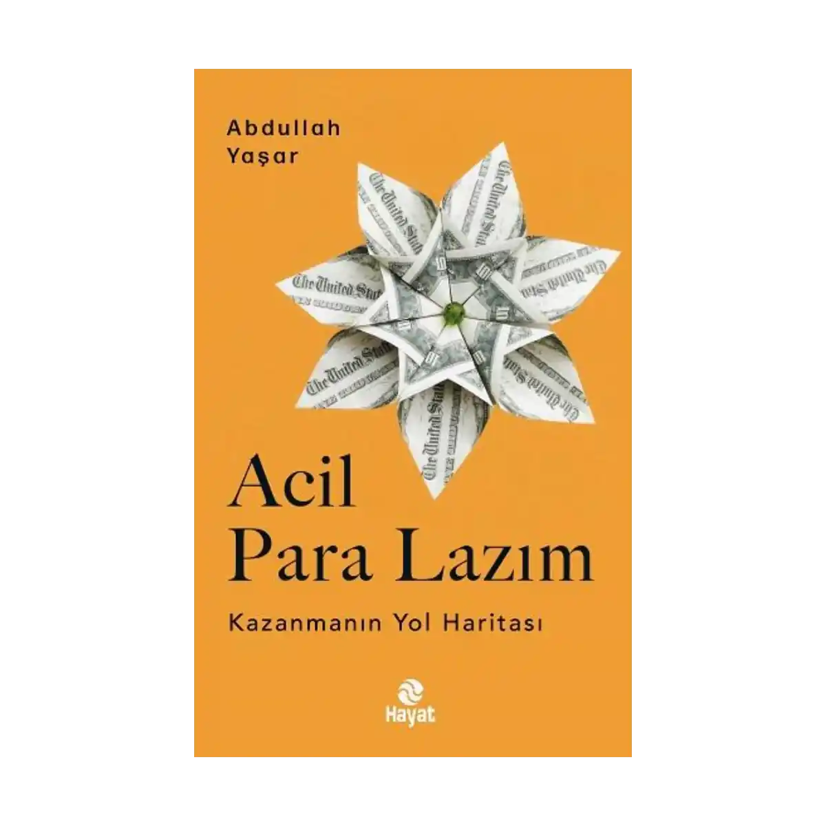 a1d2e-acil-para-lazim-1-1.webp Acil Para Lazım - Görsel 1