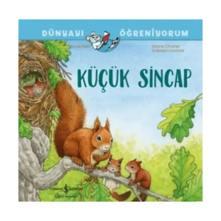 Küçük Sincap Dünyayı Öğreniyorum