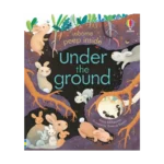 Peep Inside Under the Ground