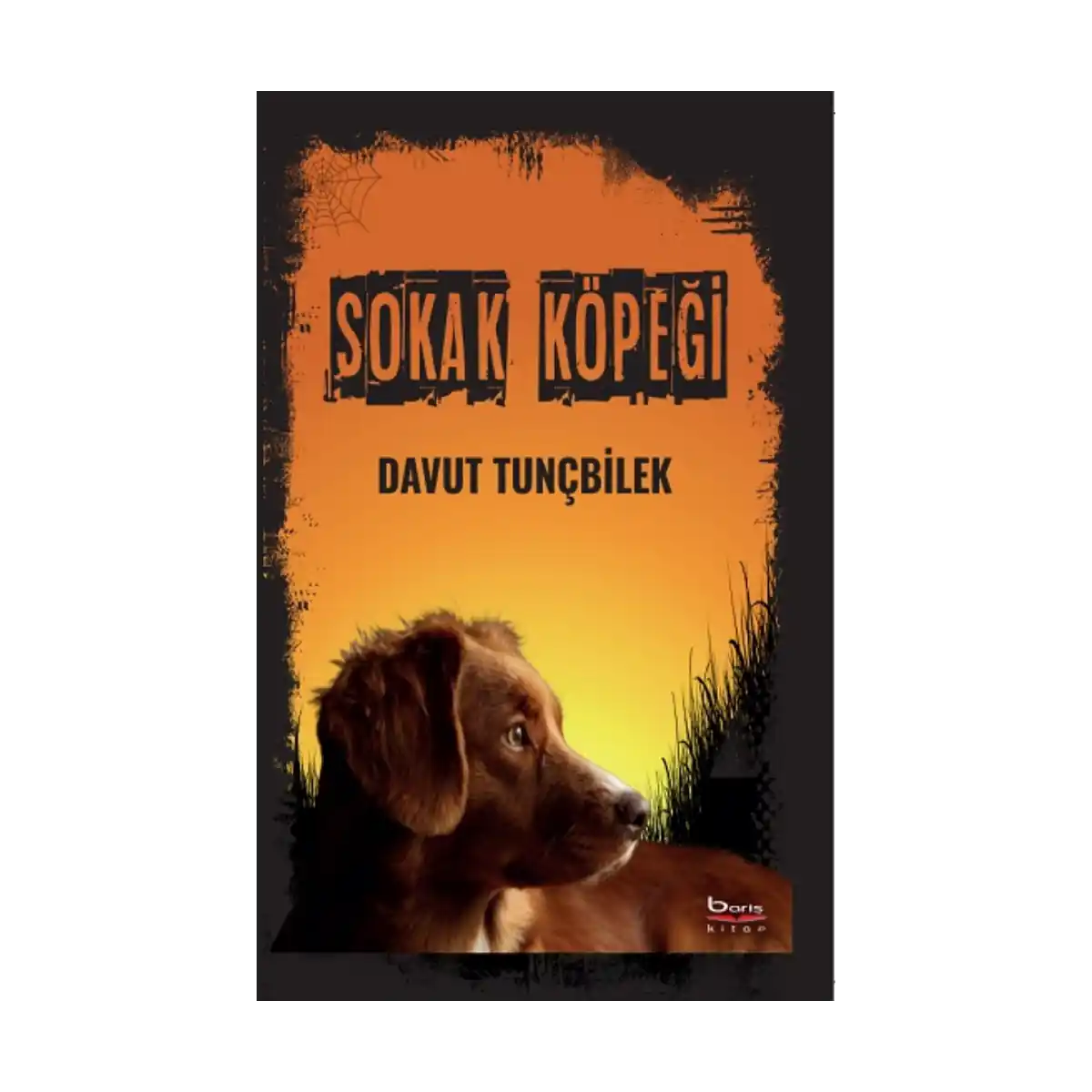 a3efb-sokak-kopegi-1-1.webp Sokak Köpeği - Görsel 1