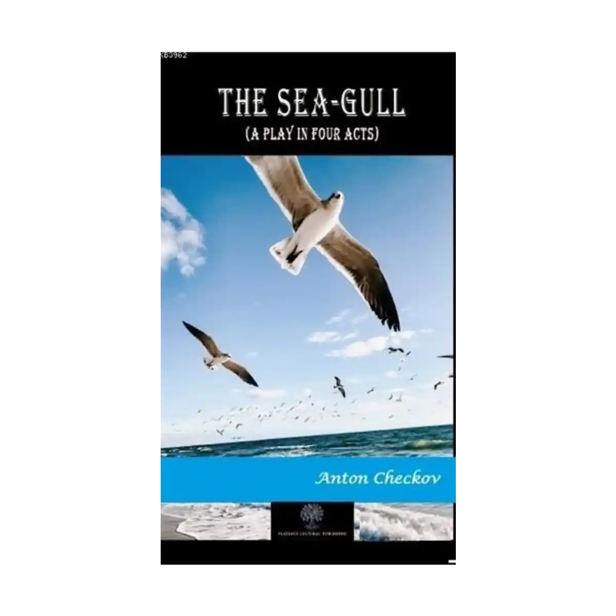 a7fea-the-sea-gull-1-1.webp The Sea-Gull - Görsel 1