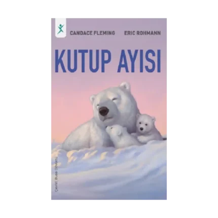 Kutup Ayısı