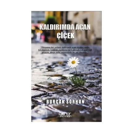 Kaldırımda Açan Çiçek