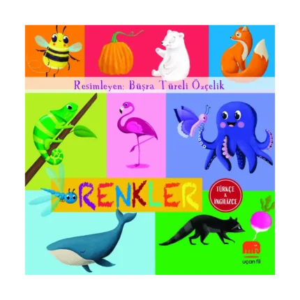 Renkler (Board Book)
