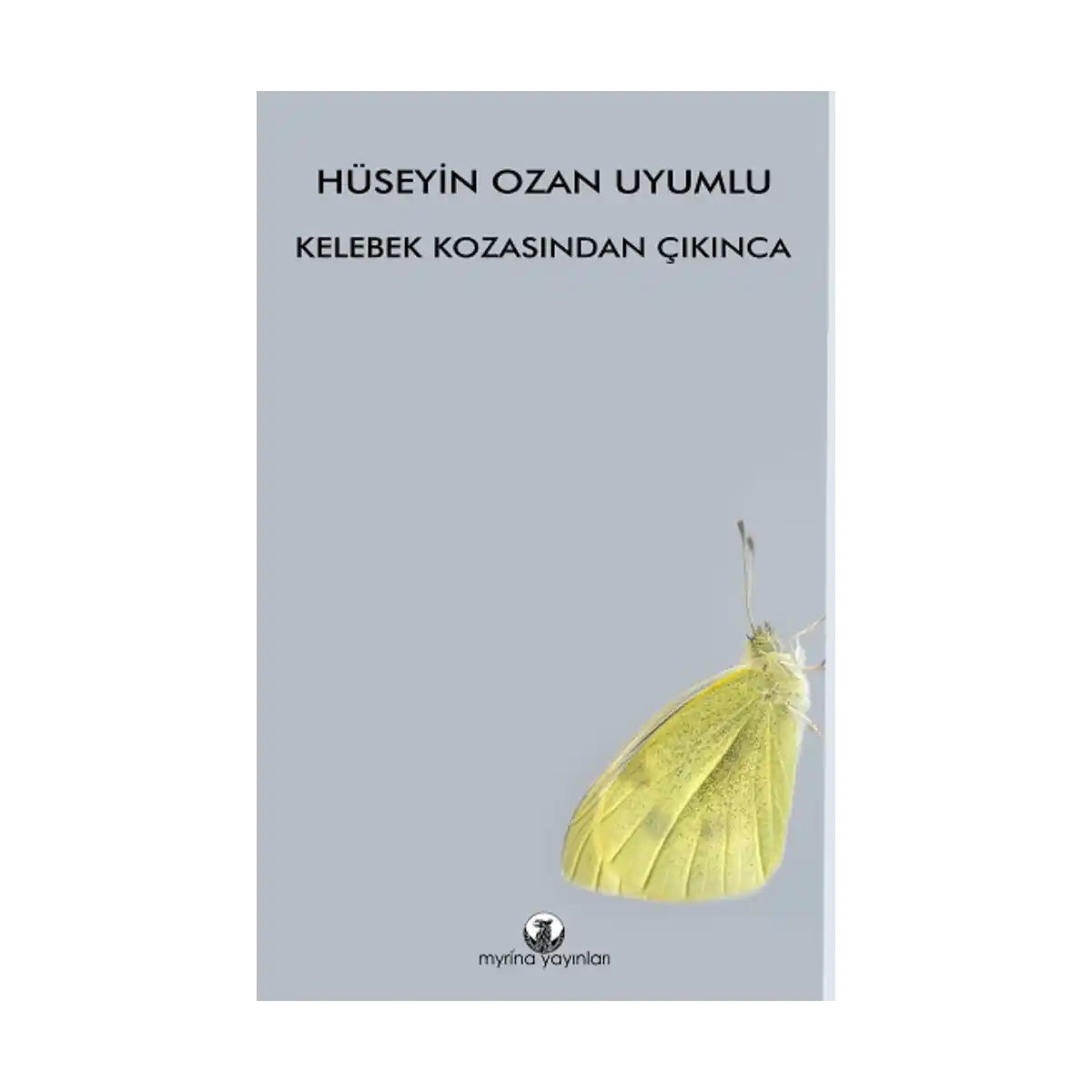 b3bf7-kelebek-kozasindan-cikinca-1-1.webp Kelebek Kozasından Çıkınca - Görsel 1