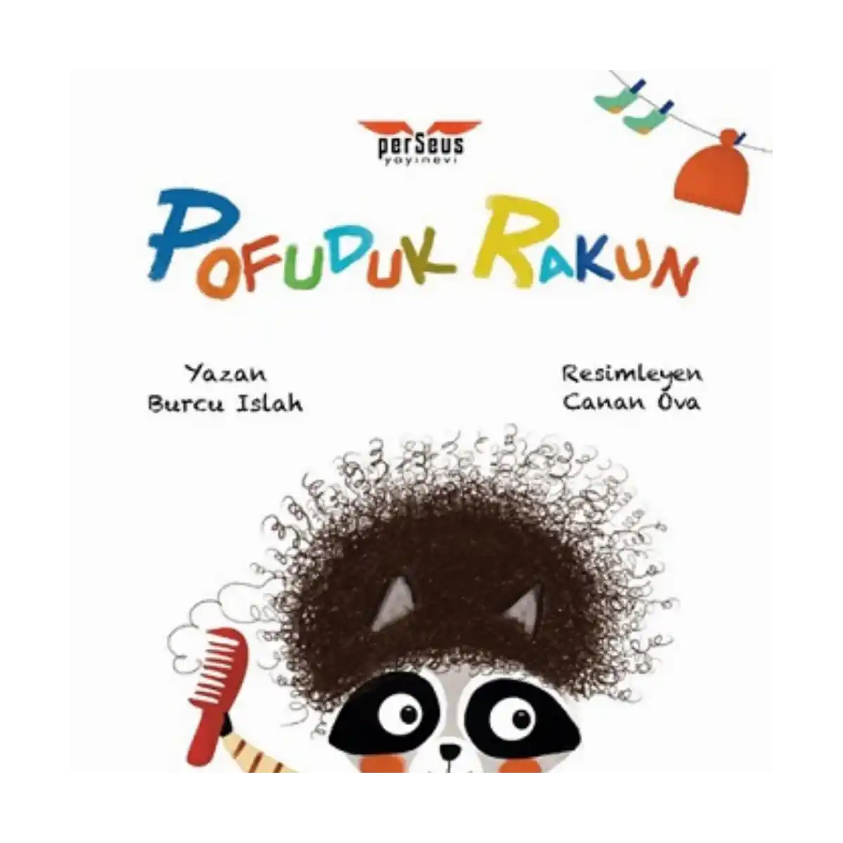 b6e3a-pofuduk-rakun-1-1.webp Pofuduk Rakun - Görsel 1