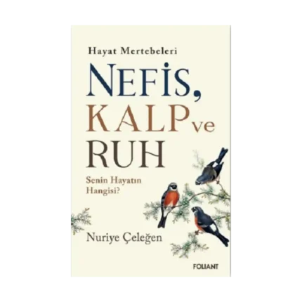Nefis, Kalp ve Ruh