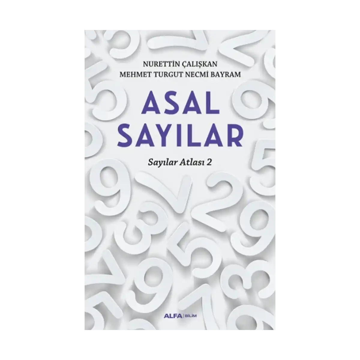 bbad6-asal-sayilar-1-1.webp Asal Sayılar - Görsel 1