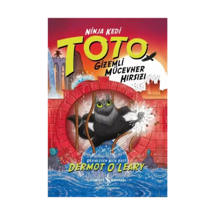 Ninja Kedi Toto – Gizemli Mücevher Hırsızı