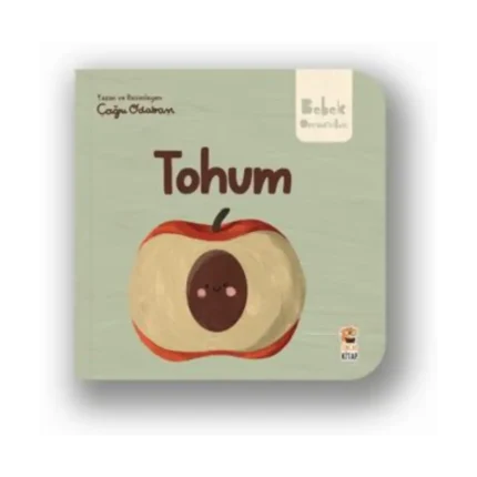 Tohum
