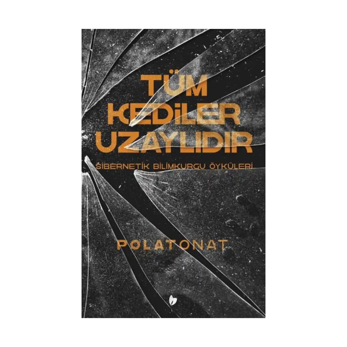 c00c4-tum-kediler-uzaylidir-1-1.webp Tüm Kediler Uzaylıdır - Görsel 1