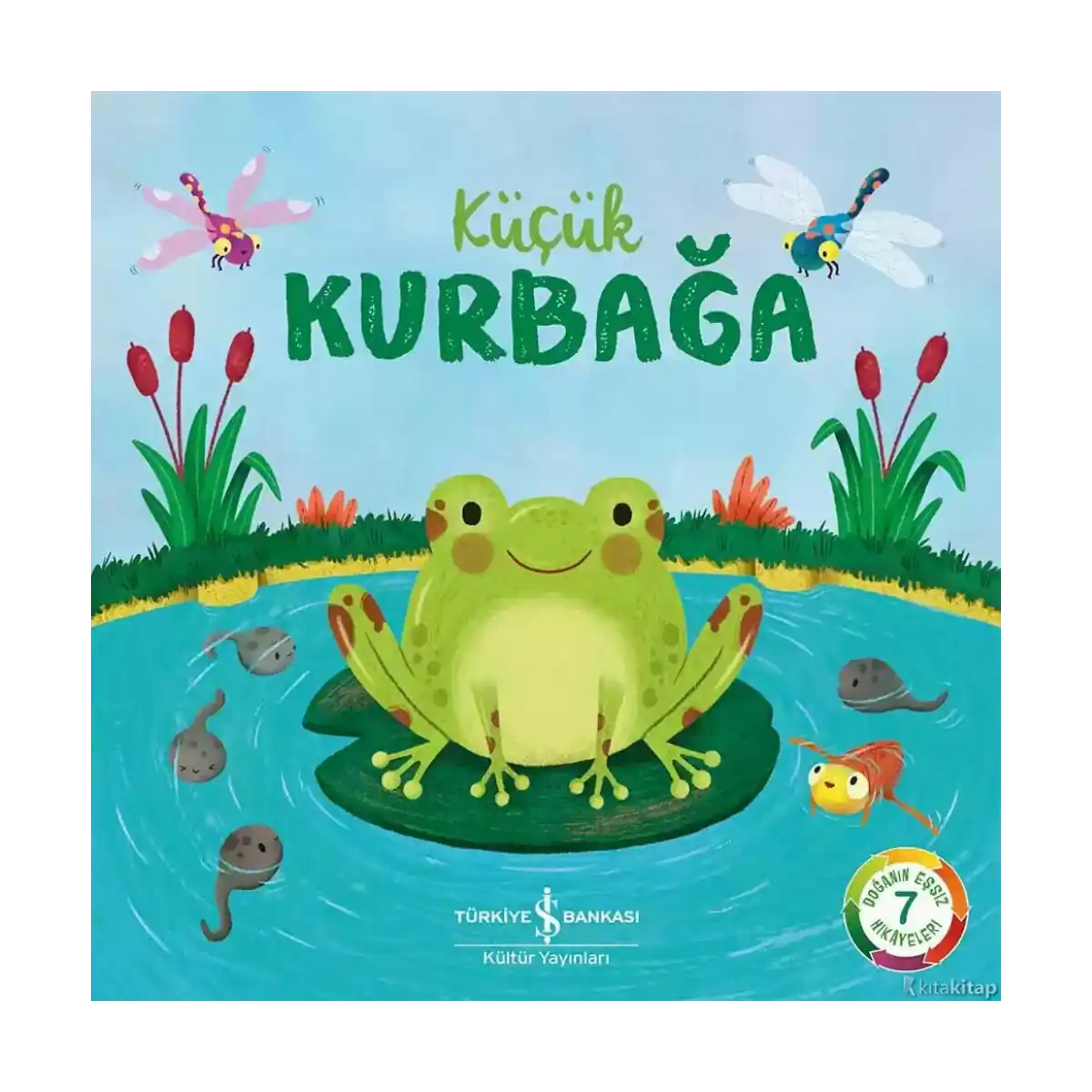 c67e8-kucuk-kurbaga-1-1.webp Küçük Kurbağa - Görsel 1