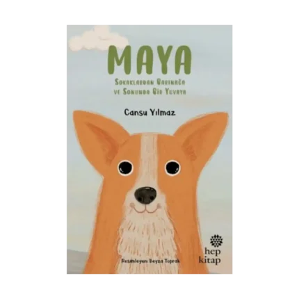 Maya - Sokaklardan Barınağa Ve Sonunda Bir Yuvaya