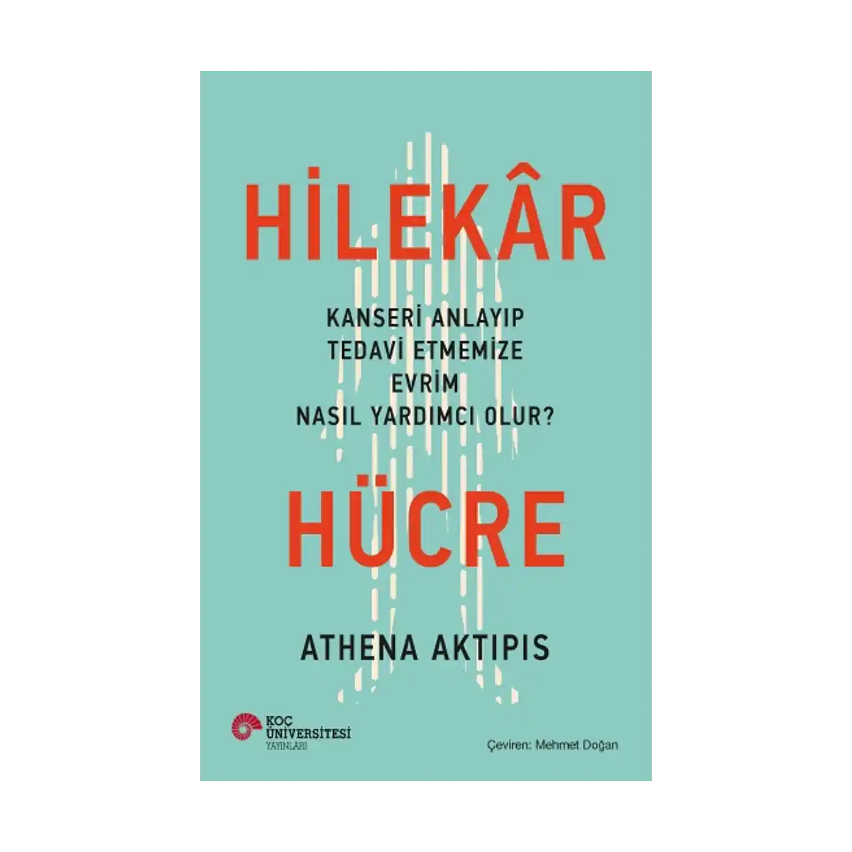 c9141-hilekar-hucre-1-1.webp Hilekar Hücre - Görsel 1