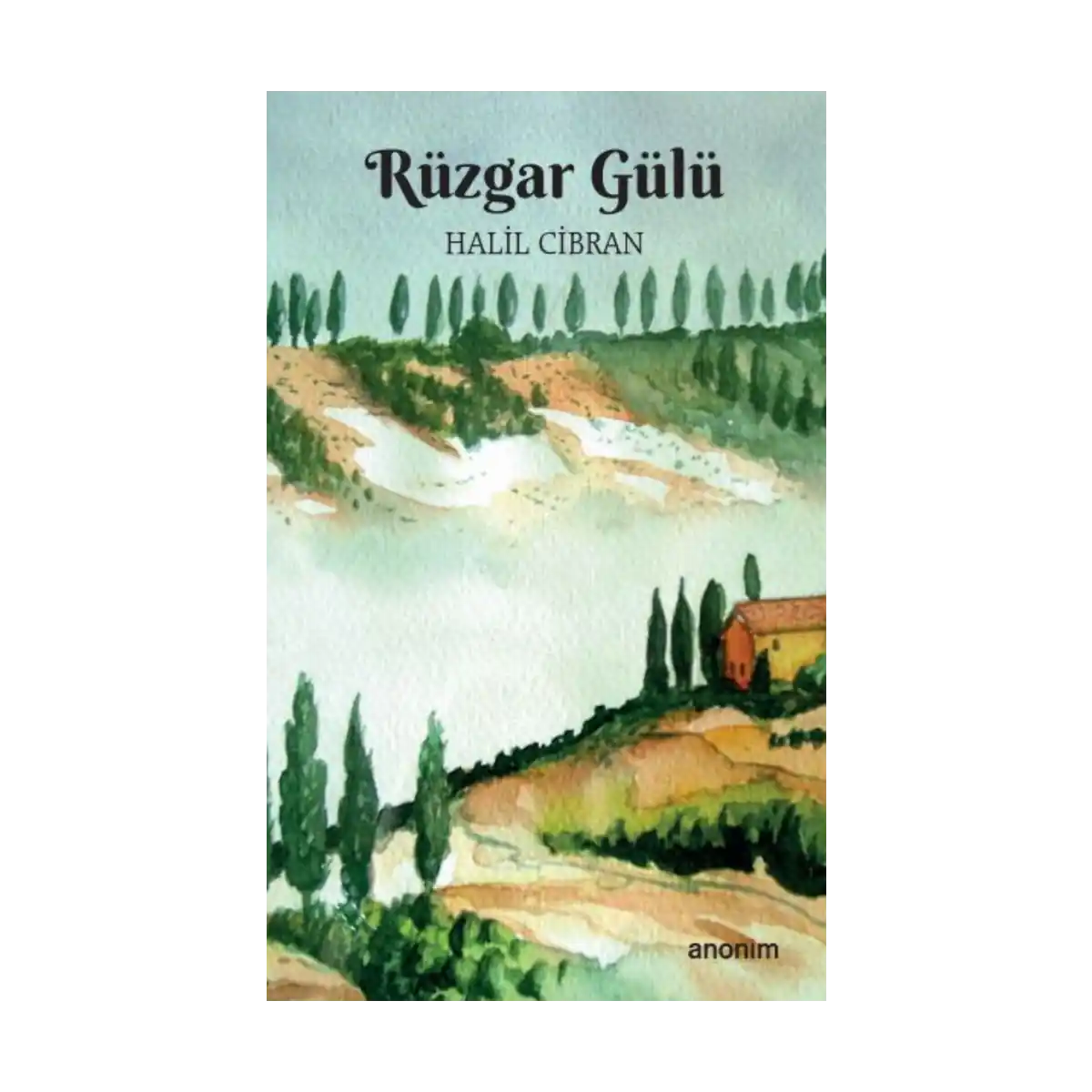 c9b90-ruzgar-gulu-1-1.webp Rüzgar Gülü - Görsel 1