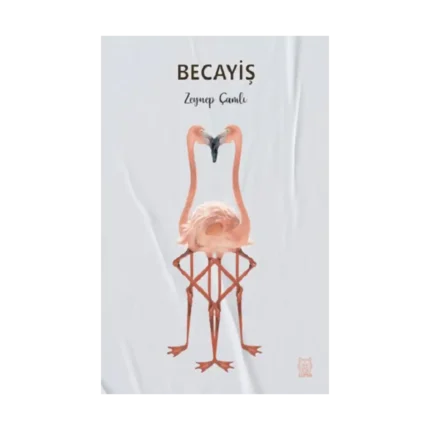 Becayiş